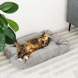 Gray orthopedic cat couch, organic dog bed for small dogs, handmade cat furniture, modern dog bed for large dogs, cat lover gift