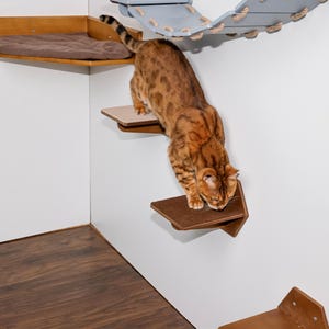 Rustic wall mounted cat playground, eco-friendly cat floating shelves, custom cat climbing steps, handmade organic cat ladder, cat mom gift