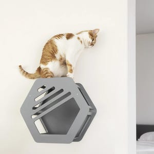 Hexagon cat wall shelves, handmade cat wall furniture, wall mounted cat house, unique cat gift, cat climbing shelf, cat play furniture