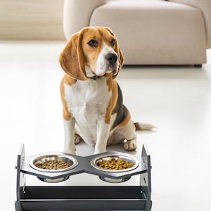 Modern dog feeding station with 2 bowls, handmade raised pet feeder, dog water bowl, organic pet supplies, elevated cat feeder, dog mom gift