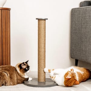 Vertical cat scratcher tower, sisal scratching post and climb, interactive cat furniture, unique cat lover gifts, pet supplies, pet gifts