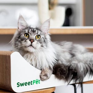 Modern cat scratch pad, durable cat scratcher, handmade kitten scratching post, custom cat scratch cardboard, organic cat play furniture