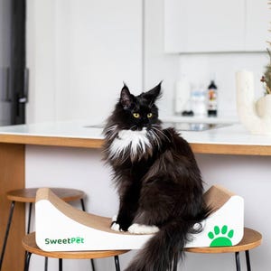 Durable cat scratching cardboard, modern сat scratch lounger, handmade scratching cat bed, eco-friendly kitten play furniture