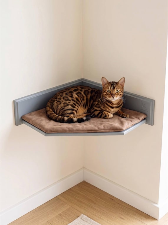 Corner Cat Wall Shelf with Bed, Birch Plywood Perch, Modern Cat Furniture