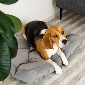 Minimalist large dog couch, orthopedic dog bed, eco-friendly modern dog bed furniture, dog mom gift ideas, handmade cat couch
