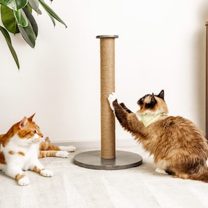 以下が含まれることがあります： 2匹の猫がサイザル製の爪とぎで遊んでいます。1匹はオレンジと白の猫、もう1匹は茶色と白の猫で緑色のバンダナをしています。爪とぎは木でできており、サイザルロープが巻かれています。