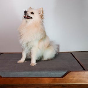 Wooden dog couch, soft pet pillow, personalized bed for cat or dog, custom pet furniture, unique gift for animal lover, personalized dog bed