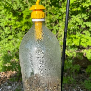 Wasp and Hornet Trap
