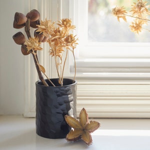 Puede incluir: Flores secas en un jarrón negro texturizado. Las flores son de color marrón claro y tienen una textura espinosa. Hay una sola flor seca en forma de estrella sobre la mesa junto al jarrón.
