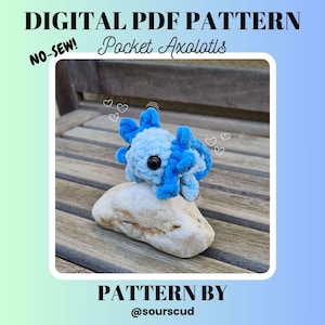 Ajolote de bolsillo | ARCHIVO DIGITAL | Patrón de ganchillo en PDF