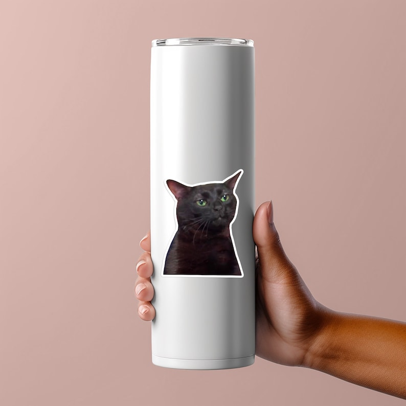 May include: White stainless steel tumbler with a black cat sticker. The cat has a surprised expression and is looking to the right.