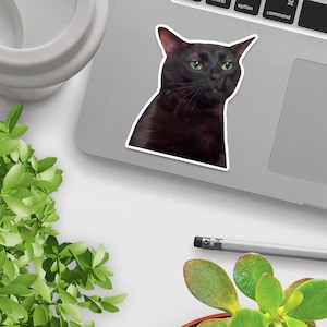May include: A black cat sticker with green eyes, looking directly at the camera with a slightly annoyed expression. The sticker is placed on a silver laptop.