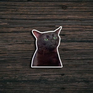 Zoning Out Cat Meme Sticker: Funny Vinyl Decal image 2