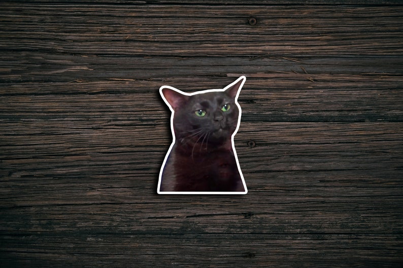 Zoning Out Cat Meme Sticker: Funny Vinyl Decal image 2