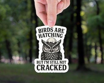 Funny Owl Sticker: Sarcastic Mental Health Humor, Waterproof Vinyl Decal