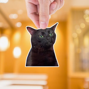 Zoning Out Cat Meme Sticker: Funny Vinyl Decal