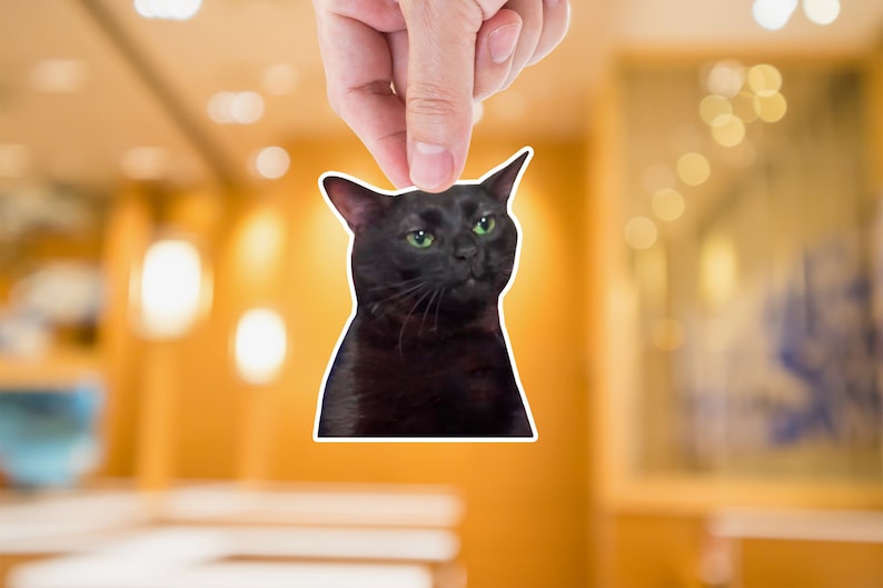 Zoning Out Cat Meme Sticker: Funny Vinyl Decal image 1