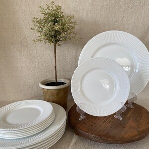May include: A collection of white ceramic plates with a ribbed design. The plates are stacked and displayed on a wooden surface, with a small potted plant in the background. The plates are of various sizes.