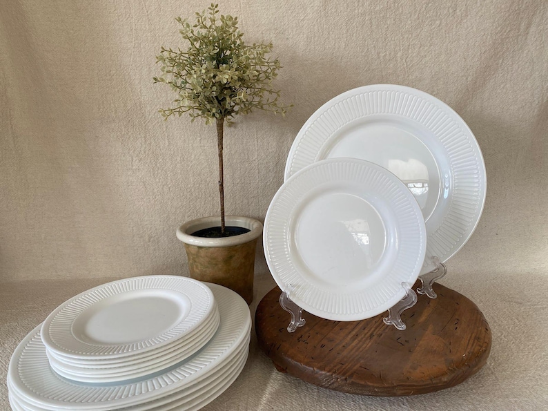 May include: A collection of white ceramic plates with a ribbed design. The plates are stacked and displayed on a wooden surface, with a small potted plant in the background. The plates are of various sizes.