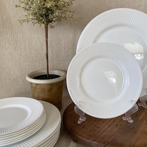 May include: A stack of white ceramic plates with a ridged border, alongside a smaller plate and two larger plates on stands. A small potted plant is in the background. The plates are a bright white color.