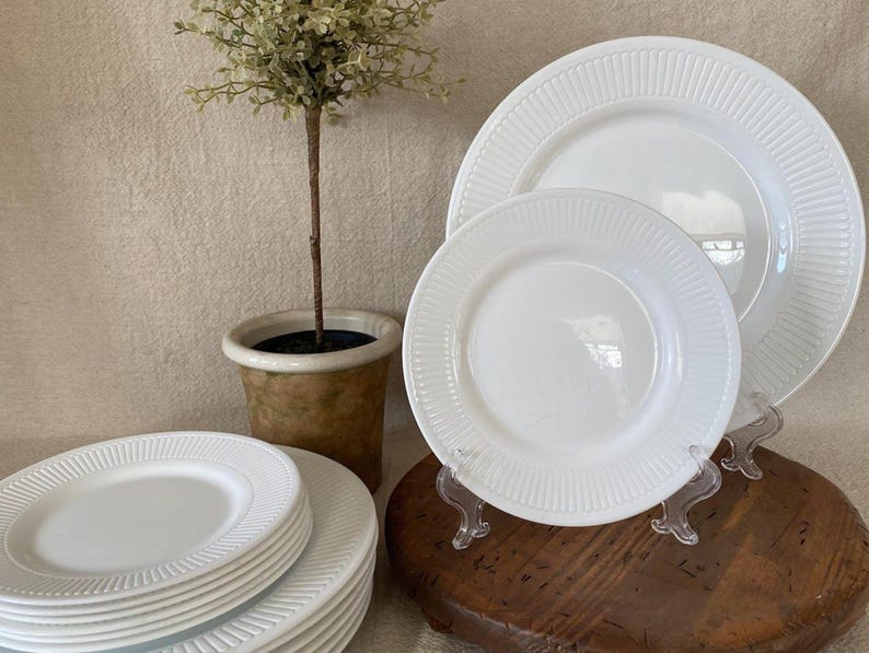 May include: A stack of white ceramic plates with a ridged border, alongside a smaller plate and two larger plates on stands. A small potted plant is in the background. The plates are a bright white color.