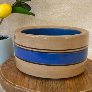 May include: A beige ceramic planter with a blue interior and a blue stripe. The planter is cylindrical and sits on a wooden surface. A small potted plant with yellow lemons is in the background.