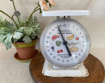 Vintage American Family Kitchen Scale