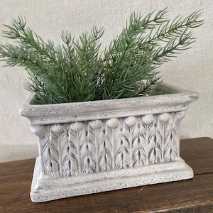 May include: A rectangular, gray-toned planter with a detailed feather design, holding green, leafy plants. The planter has a classic, aged appearance, suitable for indoor or outdoor use. The planter is sitting on a wooden surface.