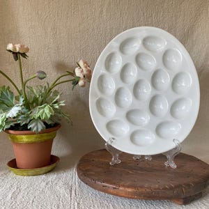 May include: A white ceramic egg serving platter with an oval shape and eighteen indented egg-shaped wells. The platter is displayed upright on a clear plastic stand, positioned next to a terracotta pot containing light pink flowers with green leaves.
