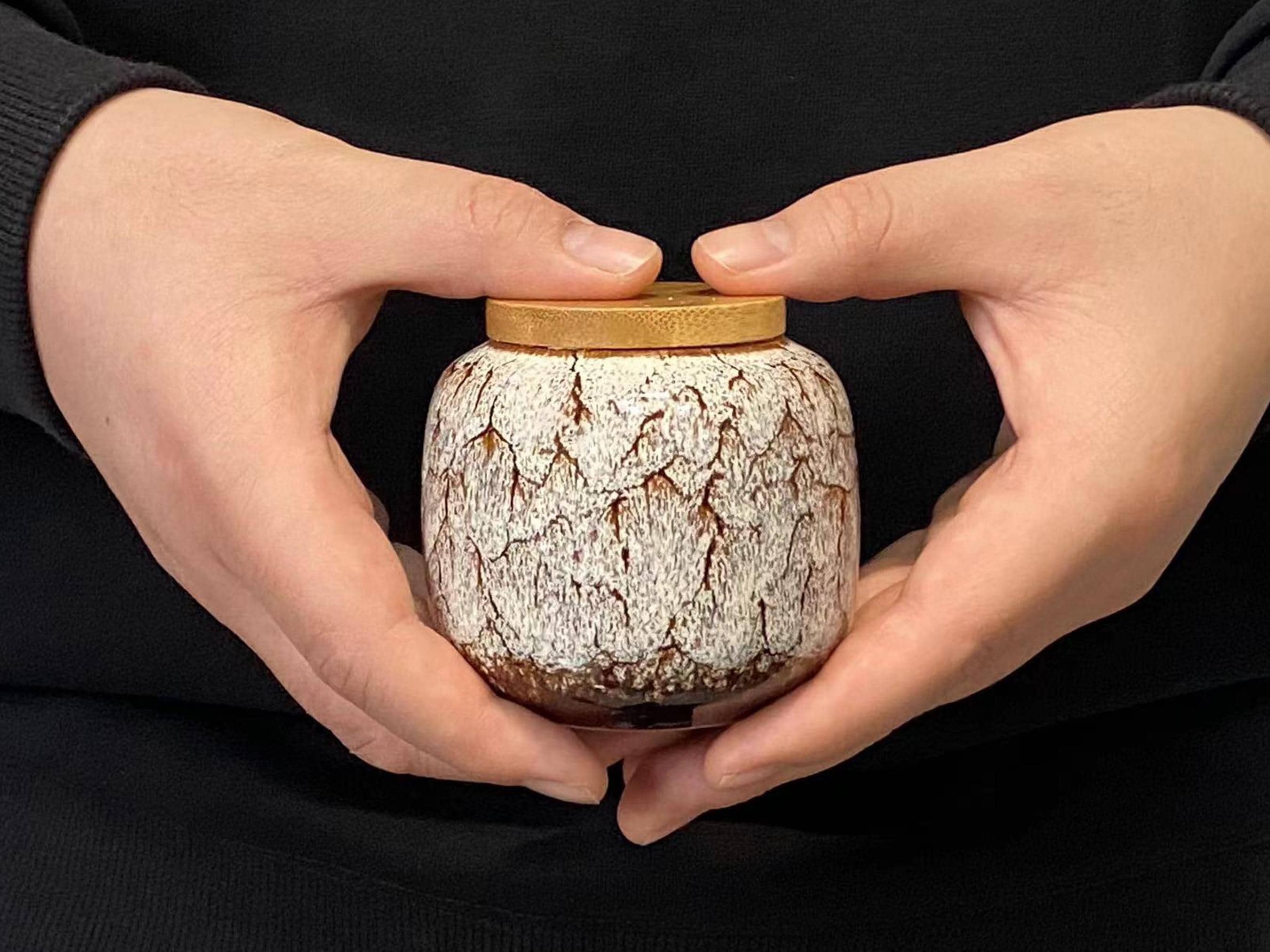 Custom Mini Ceramic Urn, Unique Dog Ashes for Memory Pot, Small Urn for Human Ashes, Glazed Pottery Pot for Family Ashes Memory Gifts