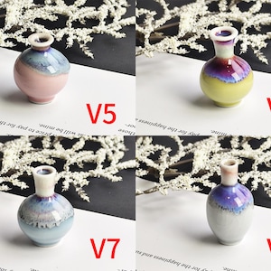 May include: Four small ceramic vases labeled V5, V6, V7, and V8. V5 is pink and blue, V6 is yellow and purple, V7 is light blue and white, and V8 is white and purple. Each vase features a rounded body, a narrow neck, and a glossy finish.