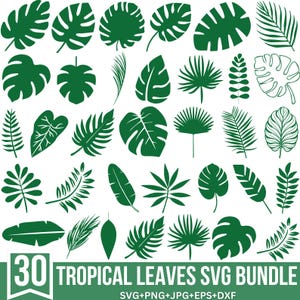 Tropical Leaves Svg, Tropical Leaves, Monstera Leaf Svg, Palm Branch Svg, Palm Leaf Svg, Jungle Leaves Clipart, Cut For Cricut, Silhouette