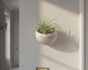 Modern wall pot for Tillandsia – 3D-printed flower pot complete set with pot, plant and granules | Planter for wall decoration
