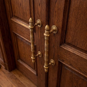May include: Close-up of a pair of dark brown wooden doors with ornate brass handles. The doors have a rich, textured grain and are framed by a matching wooden panel. The handles are detailed with decorative elements.