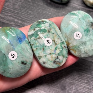 Chrysocolla Phoenix Palm (Natural Crystal) You Select