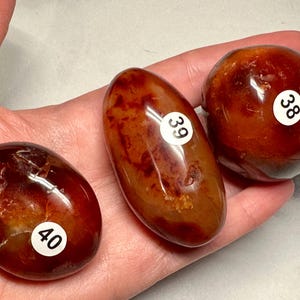 Carnelian Palm (Natural Crystal) You Select