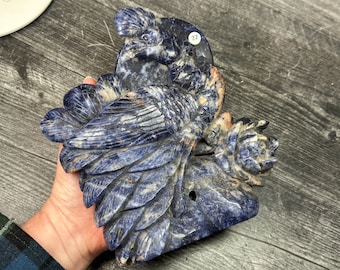 Sodalite Phoenix Bird 7.5”H Large High Detail Carving (Natural Crystal) #22