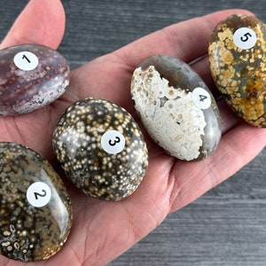 8th Vein Ocean Jasper Old World Palm (Natural Crystal)