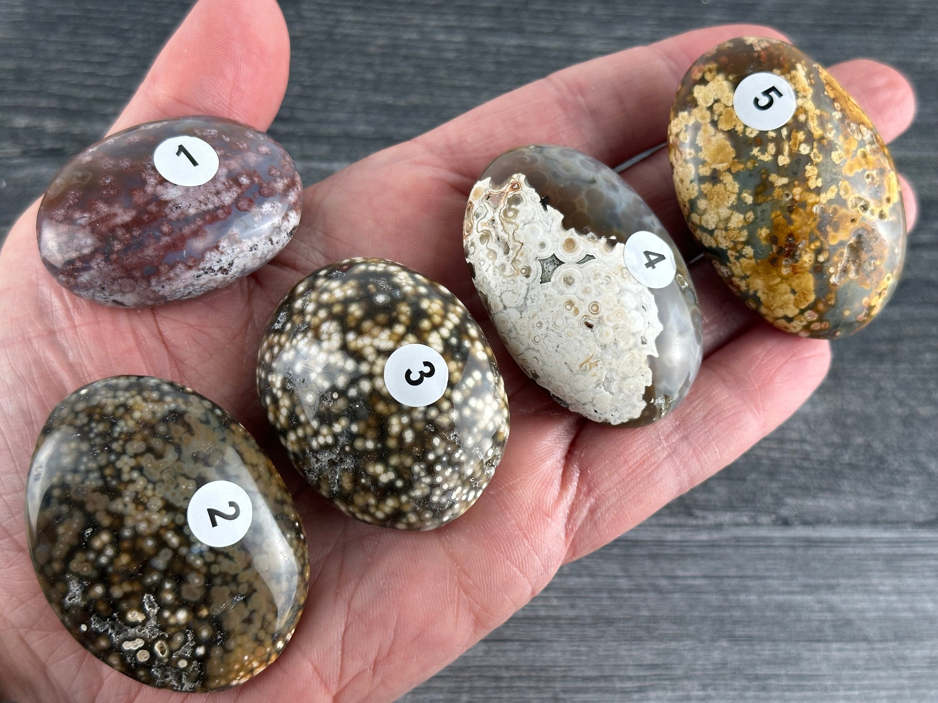 Ocean Jasper Vein 8 - Etsy