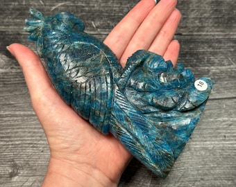 Blue Apatite Parrot 6.5”H Rose Flower High Detail Carving (Natural Crystal) #18