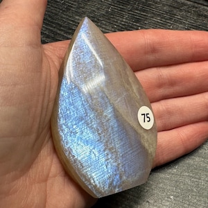 May include: A pear-shaped, polished gemstone with iridescent blue and tan hues. The stone has a smooth surface and a rounded top, held in a hand. A small, round sticker with the number 75 is affixed to the stone.