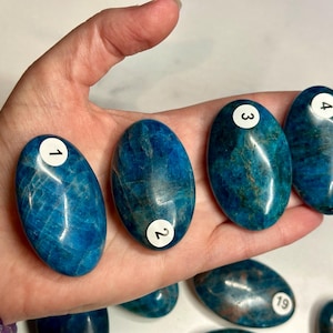 Blue Apatite Palm (Natural Crystal) You Select