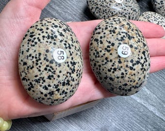 Dalmatian Jasper Palm (Natural Crystal) You Select
