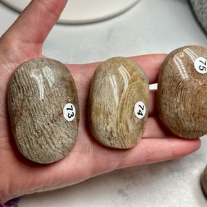 May include: Three oval-shaped, polished stones in shades of tan and brown are held in a hand. Each stone has a unique pattern and a small white sticker with a number. The stones have a smooth, tactile appearance.