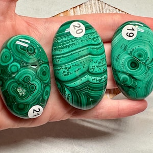 Malachite Palm (Natural Crystal) You Select