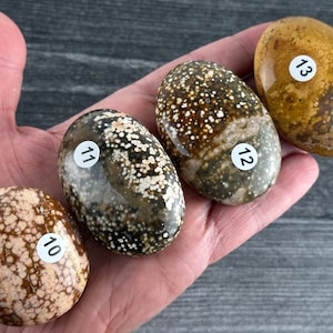 Puede incluir: Cuatro piedras lisas de forma ovalada con patrones marrones, blancos y beige. Cada piedra tiene un círculo blanco con un número negro en él, del 10 al 13.