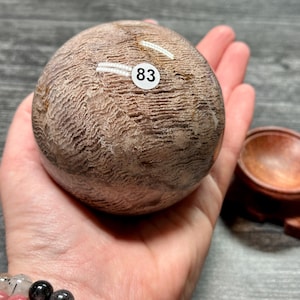 May include: A round, polished stone with a light brown and tan pattern, held in a hand. A small white sticker with the number 83 is on the stone. A small wooden bowl and stand are in the background.