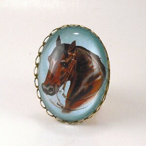 May include: A gold-toned oval-shaped brooch with a glass cabochon featuring a painted image of a brown horse's head with a bridle.