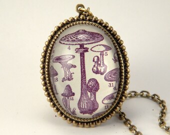 A Fungus Among Us- vintage nature inspired magic mushroom specimen brass engraving cameo necklace