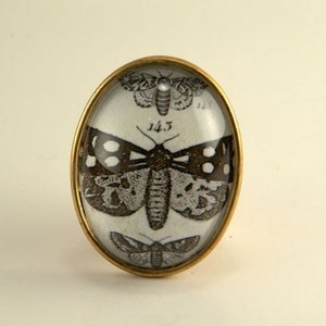 May include: An oval-shaped cabinet knob with a gold-colored metal frame. The knob features a clear glass or resin insert with a black and white illustration of moths. The number "143" is printed on the insert.